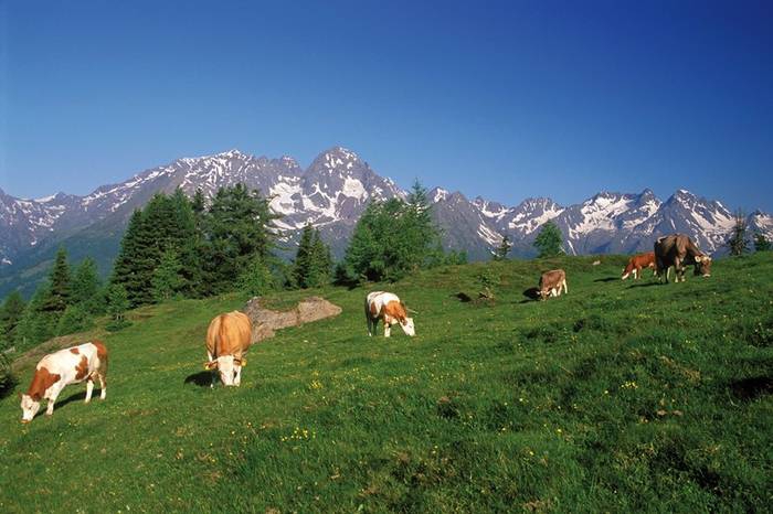 Kurzaufenthalt - Frühling im Mölltal